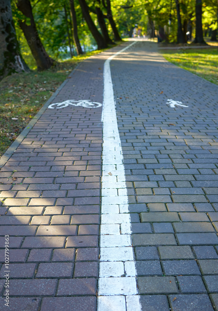 Road markings indicating the road for cyclists. Pedestrian path in the ...