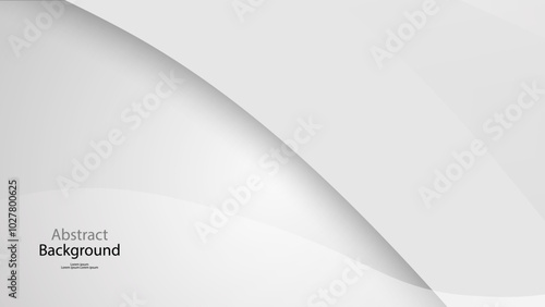 gray and white black color background abstract art vector