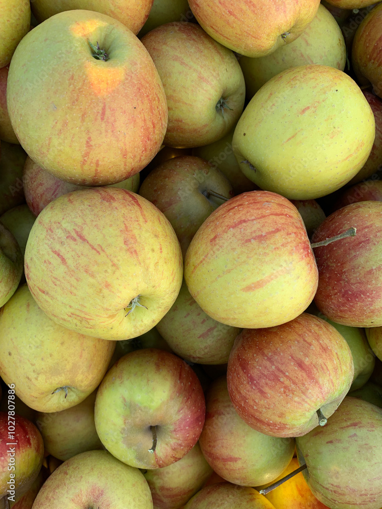 Bright pattern, apple harvest background. Ripe red and green apples close-up. Perfect for agricultural and harvest projects Bright pattern, apple harvest background. Ripe red and green apples close-up. Perfect for agricultural and harvest projects
