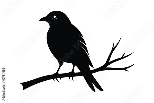  Weaver bird sitting on a branch silhouette black vector art illustration. photo