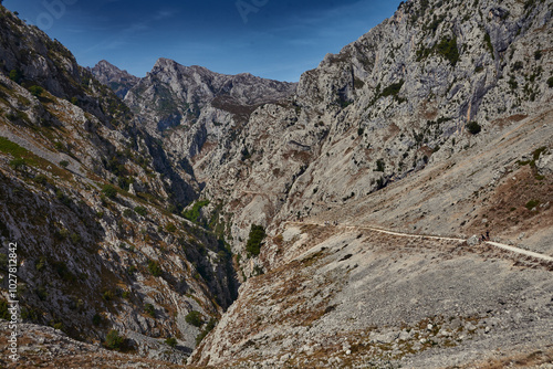 The valley in rocky mountains