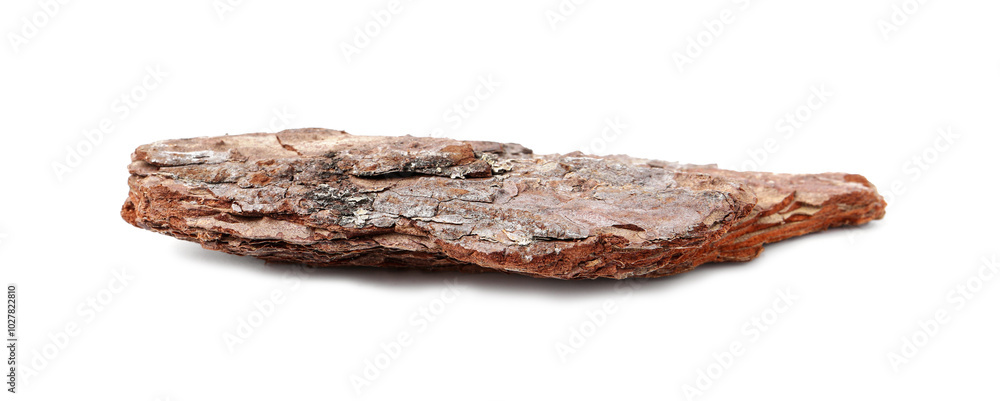 One piece of tree bark on white background One piece of tree bark on white background