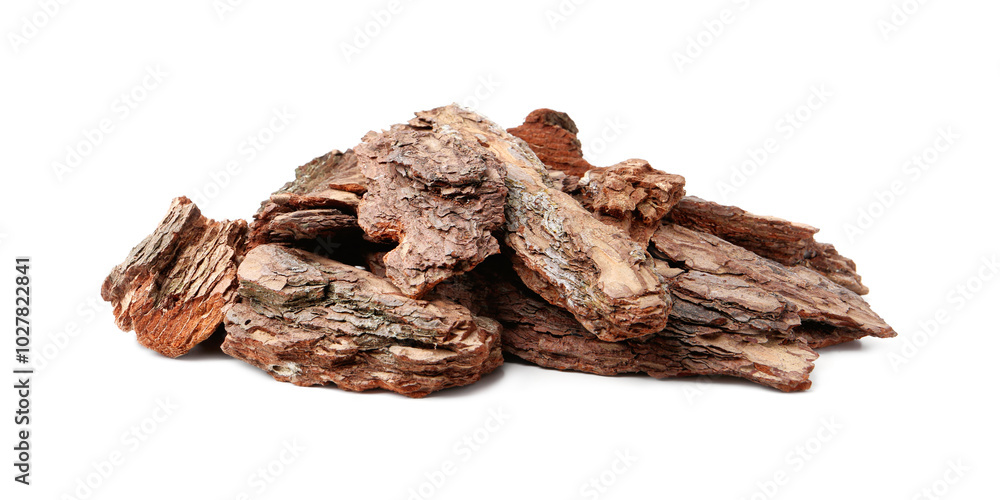 Pieces of tree bark on white background Pieces of tree bark on white background