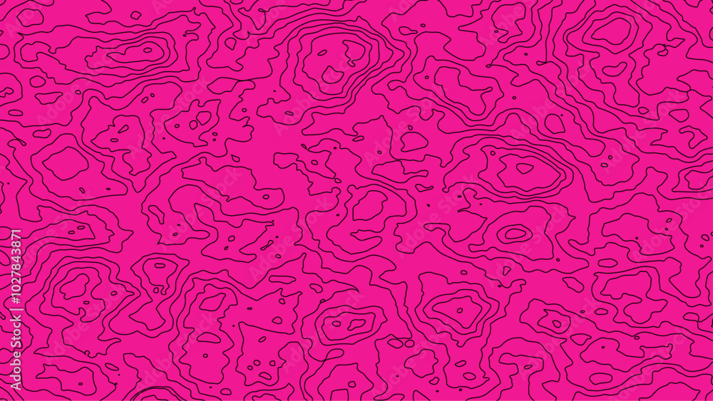 Background grid outline topographic map. Topographic lines, contour background Background grid outline topographic map. Topographic lines, contour background