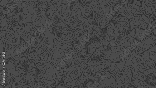 Background grid outline topographic map. Topographic lines, contour background