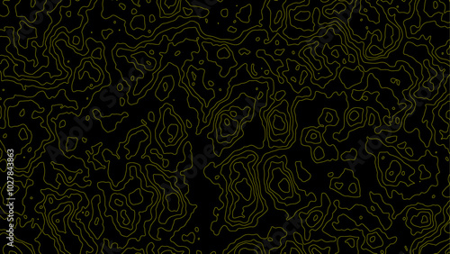 Background grid outline topographic map. Topographic lines, contour background