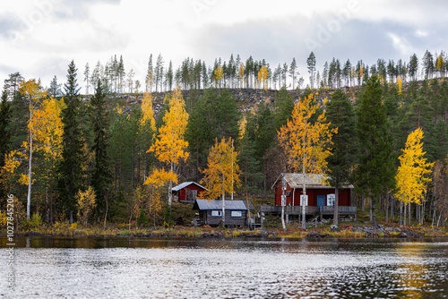 autumn landscape with a lake