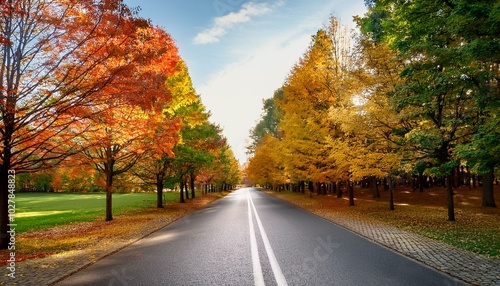 empty road and colorful yellow green and red trees in autumn park