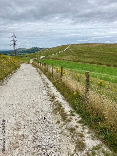 Track across English countryside. South Downs Way.