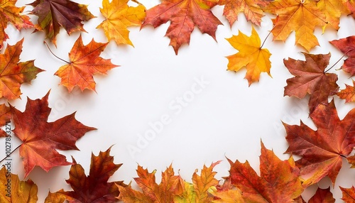 leaf frame autumn falling maple leaves isolated on white background fall foliage
