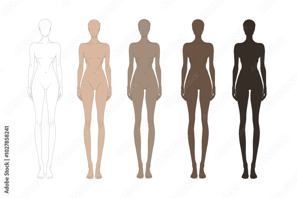 body anatomy body anatomy