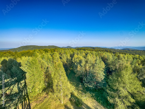 The landscape of Carpathian Mountains in the sunny weather. Perfect weather condition in the summer season