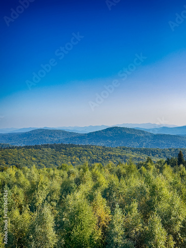 The landscape of Carpathian Mountains in the sunny weather. Perfect weather condition in the summer season