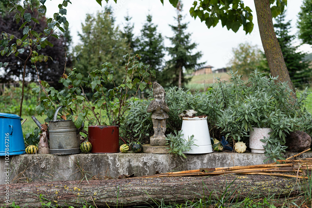 Obraz premium Garden decoration of an old farm house - stone dwarf statue, enameled buckets, watering can