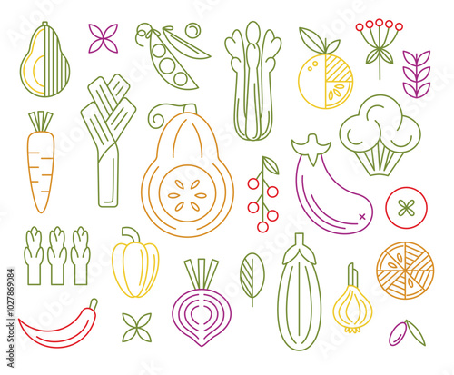Vegetables geometrical colorful line collection. Pumpkin, Tomato, Carrot, Onion, Beetroot, Pepper, Olives, Arugula, Broccoli, Peas, Celery, Sparrowgrass. Organic food. Farm Flat Vector Illustration