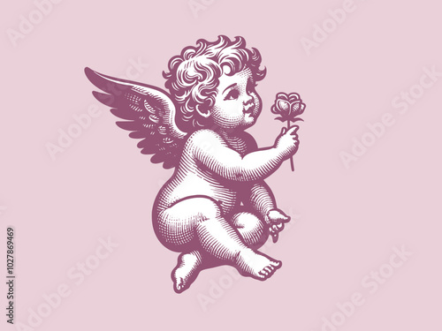 Dear angel, cupid, cherub. With a rose in his hands. vintage engraving illustration in pink colors. Emblem, logo, print