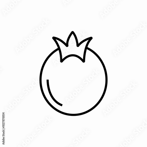 fresh pomegranate icon sign vector