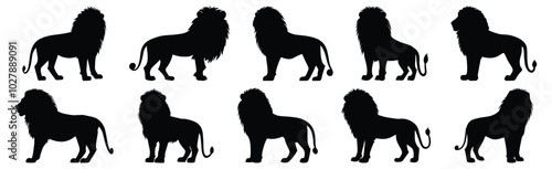 Lion silhouettes set, animal pack of vector silhouette design, isolated background.