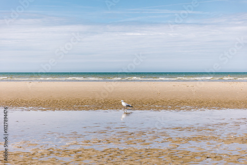 Strand in Bray-Dunes, Frankreich