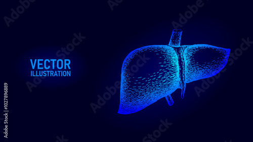 Drawing line art anatomical human liver silhouette. Healthy medicine concept design world liver health day one sketch outline drawing vector illustration