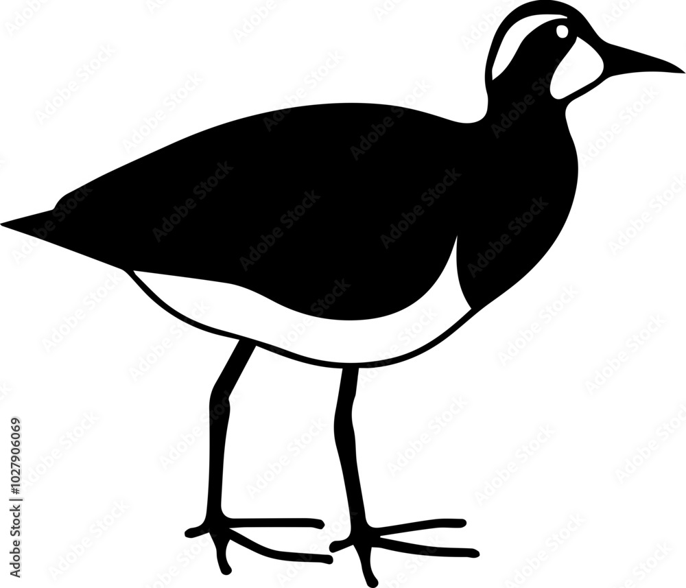 Obraz premium Jacana icon