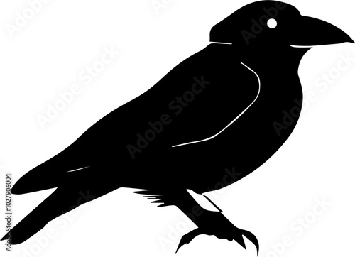 Jackdaw icon