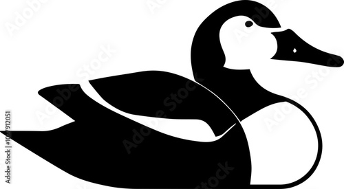 Fotografie King Eider icon