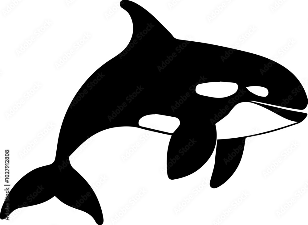 Fototapeta premium Killer Whale icon