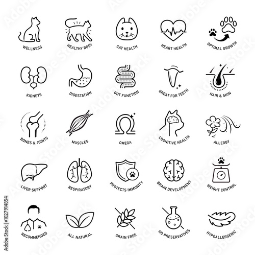 A set of icons for cat. The components of a dog's health. The outline icons are well scalable and editable. Contrasting elements are good for different backgrounds. EPS10.	