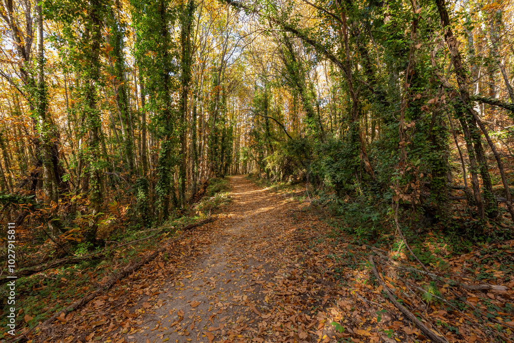 a magic autumn in the mountain a magic autumn in the mountain