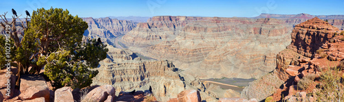Greate Grand Canyon panorama with Colorado river and tree
