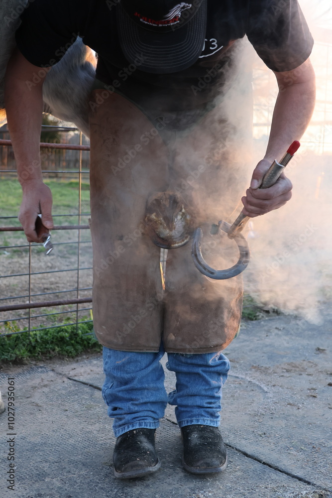 Farrier shoeing trimming and shoeing a horse Farrier shoeing trimming and shoeing a horse
