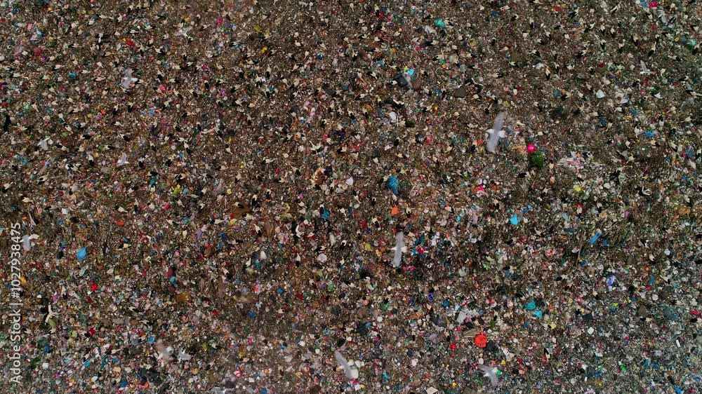 This video features various birds, including storks and seagulls, scavenging for food in a large city landfill, emphasizing the impact of waste on wildlife. Ideal for ecology and environmental themes. This video features various birds, including storks and seagulls, scavenging for food in a large city landfill, emphasizing the impact of waste on wildlife. Ideal for ecology and environmental themes.