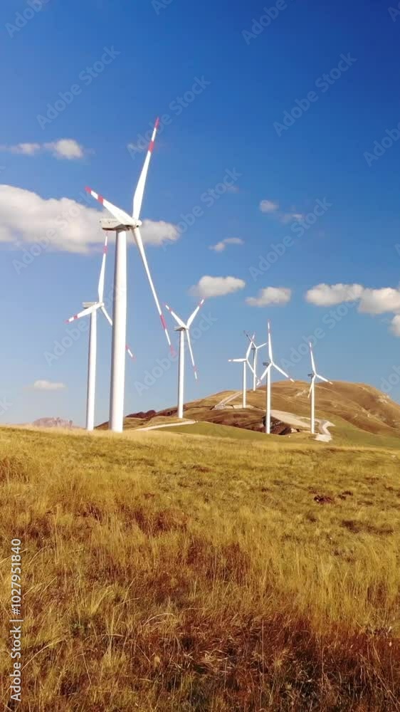 Group of wind turbines standing on a yellow meadow against a blue sky Group of wind turbines standing on a yellow meadow against a blue sky