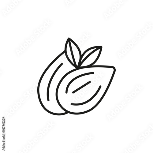 Almond icon flat line symbol set.