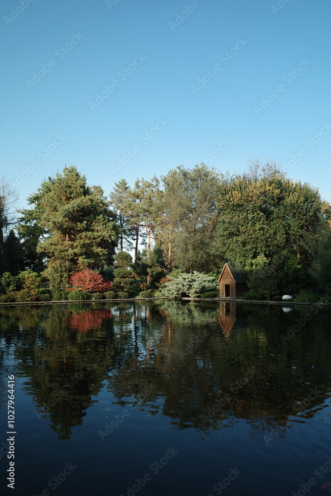 Fototapeta premium pond with reflection