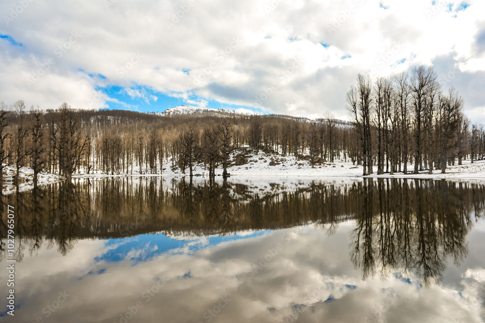 Snow lake, Beautiful reflection of snow, mountain, forest, blue sky and clouds on a lake in winter, Panoramic landscape of snow and lake in the mountains of North Africa Jijel Algeria, Snow mountains. Snow lake, Beautiful reflection of snow, mountain, forest, blue sky and clouds on a lake in winter, Panoramic landscape of snow and lake in the mountains of North Africa Jijel Algeria, Snow mountains.