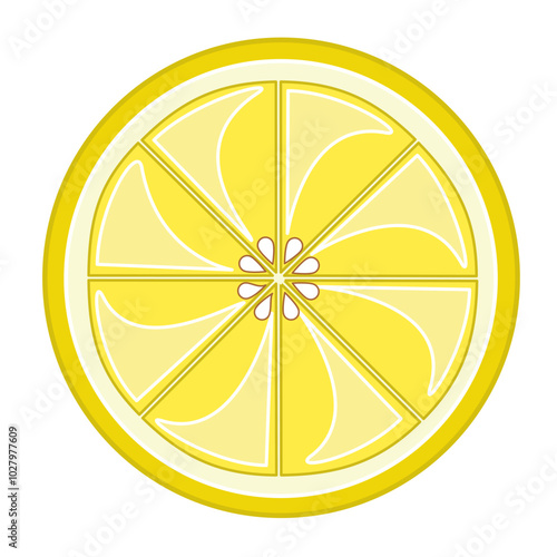 Lemon fruit slices illustration. Flat vector illustration of lemon citrus slices