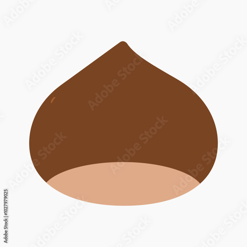  Chestnut vector illustration isolated on white background