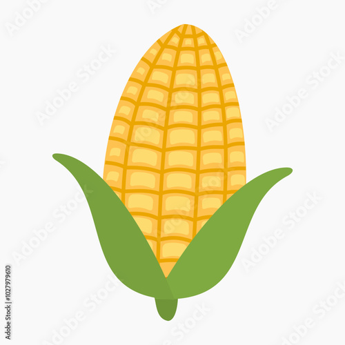 Corn vector illustration isolated on white background