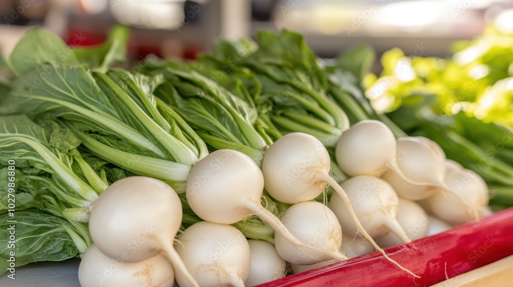 Neatly stacked white radishes with fresh green tops are displayed, capturing the structured and organized arrangement typically found in local markets. Neatly stacked white radishes with fresh green tops are displayed, capturing the structured and organized arrangement typically found in local markets.