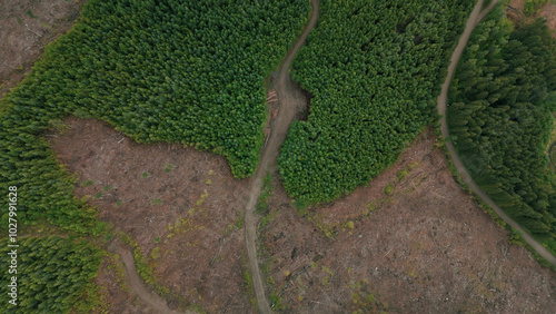 Canvas Print Clearcut Logging British Columbia