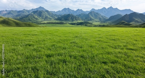 Lush green meadow with towering mountains in the background