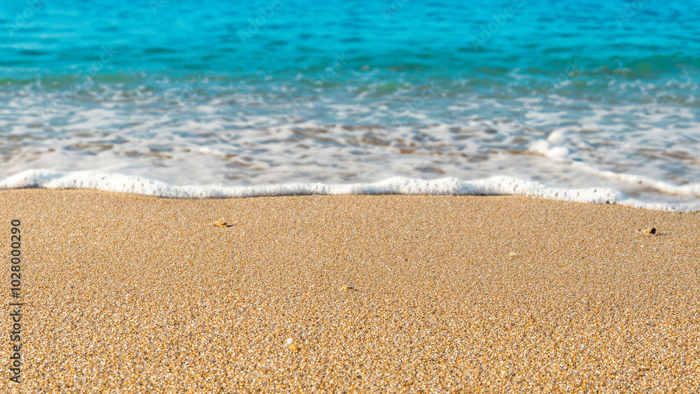 Golden Sands and Azure Ocean Horizon 13 Golden Sands and Azure Ocean Horizon 13