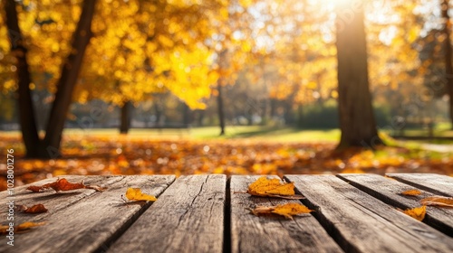 Autumn Landscape with Wooden Table and Leaves