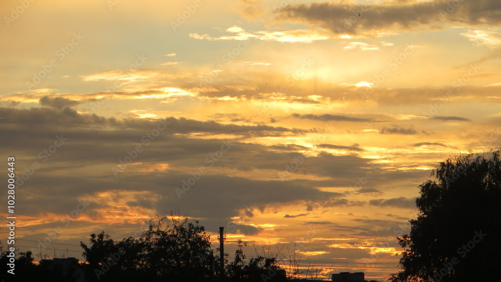 Fototapeta premium sunset in the city