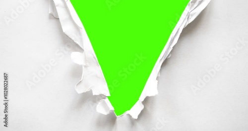 Pack of stop motion paper transitions featuring wrinkled white paper textures. Perfect for adding a handmade, organic feel to your projects.