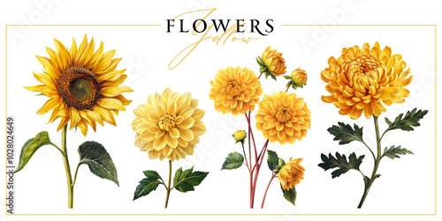 Yellow garden flowers isolated on a white background. Vintage painting style illustration.