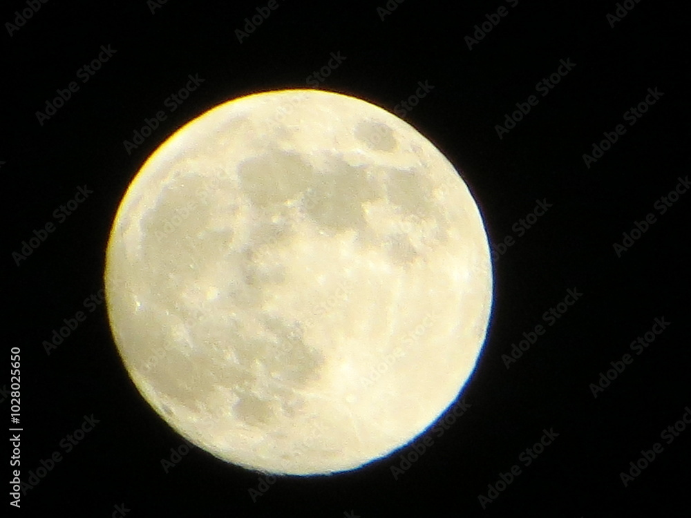 Obraz premium full moon in the night sky