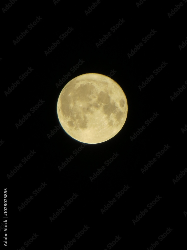 Obraz premium moon in the sky